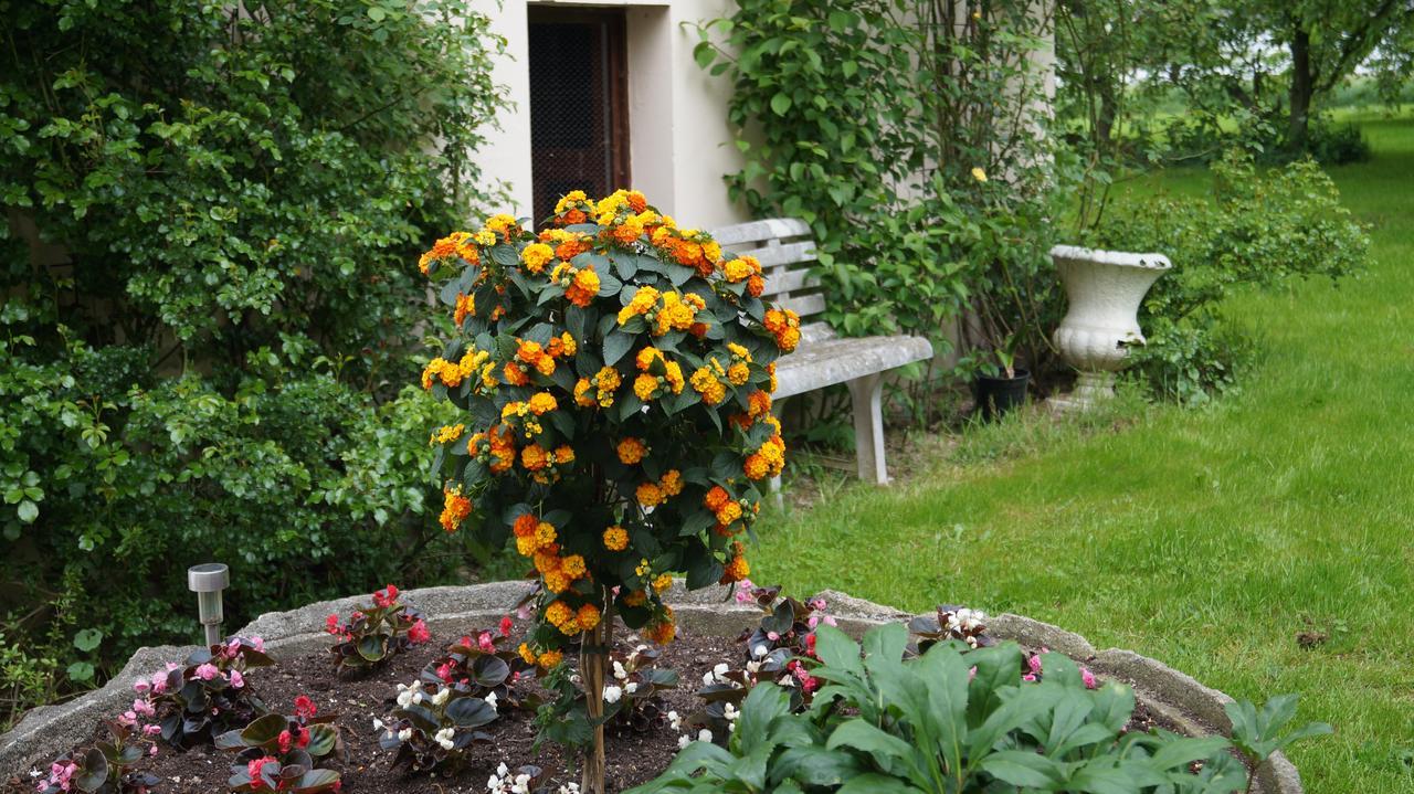Richzenhainer-Hof Waldheim Esterno foto